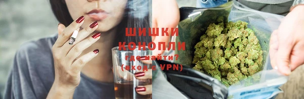 молекула духа Алексеевка