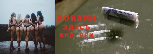 дживик Алзамай