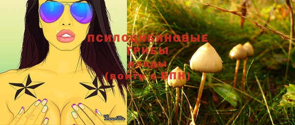 молекула духа Алексеевка