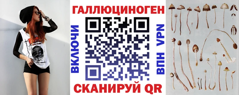 Галлюциногенные грибы мицелий Павловский Посад